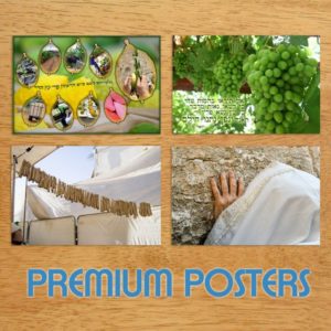 Sukkah Posters
